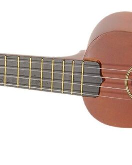 Ashton Ukulele