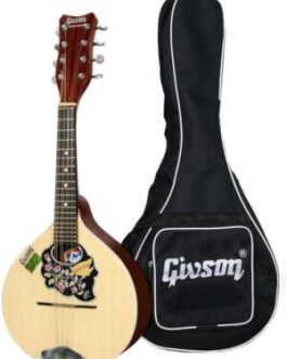 Guitar Belts