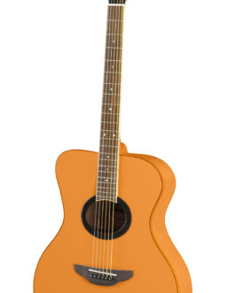 Jazz Guitar