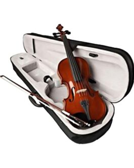 Indian Violin