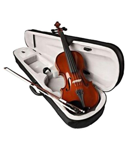 Indian Violin